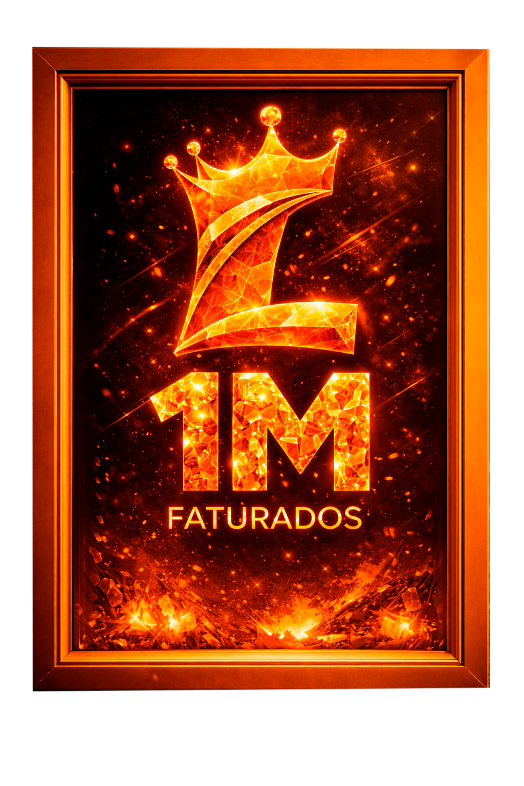 Placa 1M
